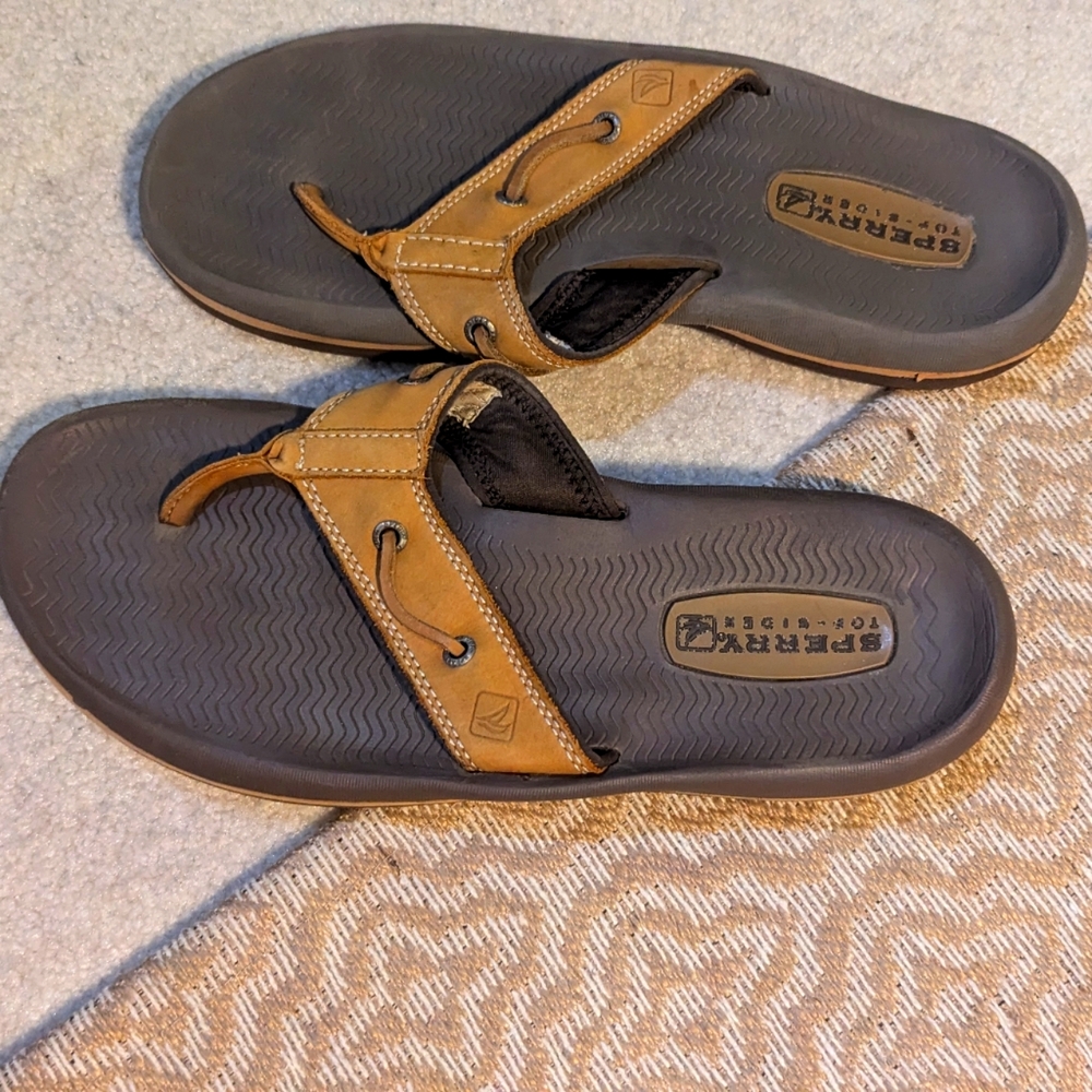Men's Sperry sandals size 9